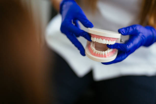  Battle Creek, NE Holistic Dental Services Pros
